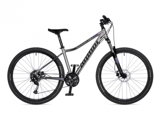 AUTHOR Solution 27,5 ASL 2023-24