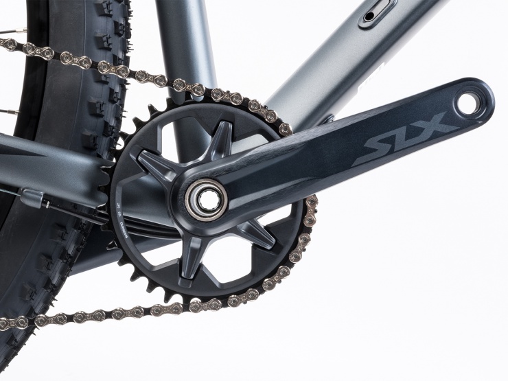 detail AUTHOR Orion 29 2023-24