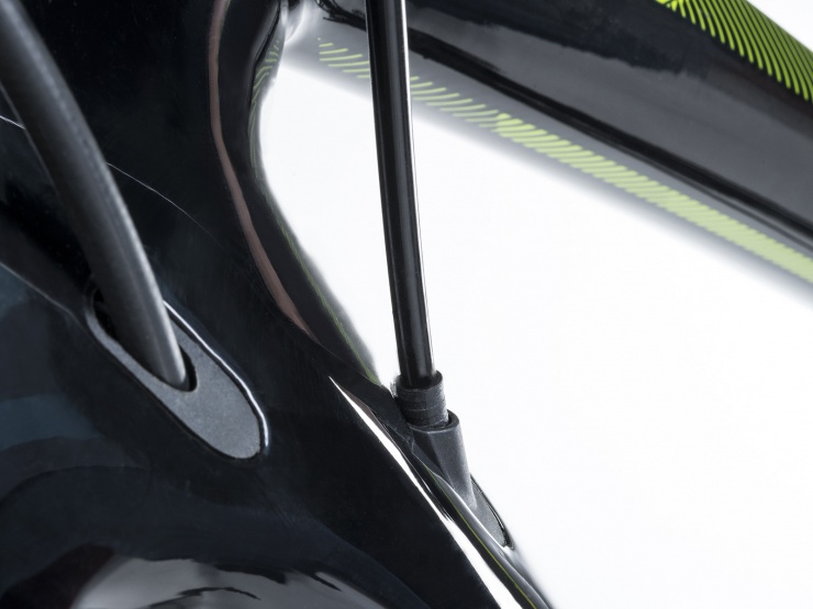 detail AUTHOR Synergy 2023-24