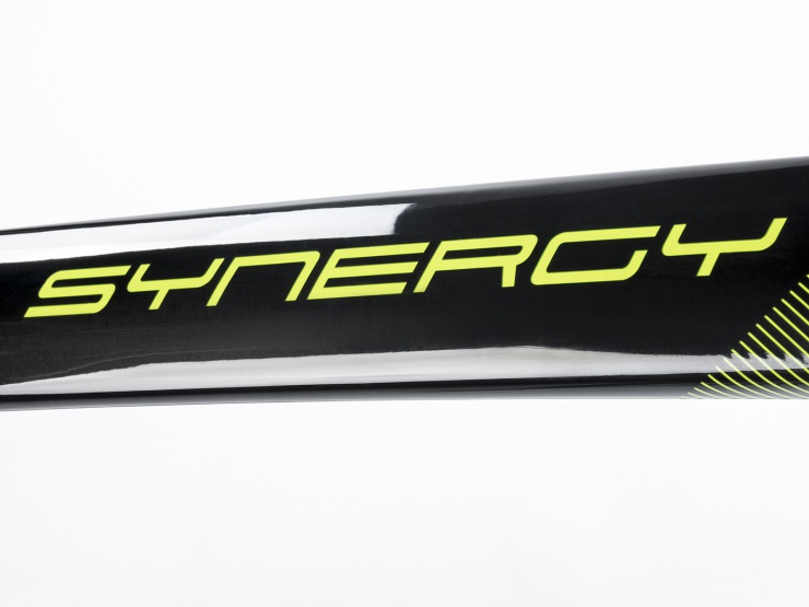 detail AUTHOR Synergy 2023-24