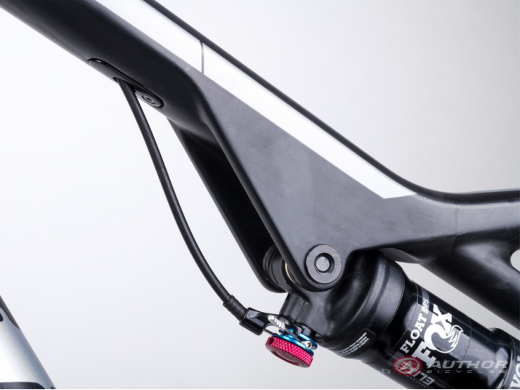 detail AUTHOR A-Ray 29 Team 2023-24