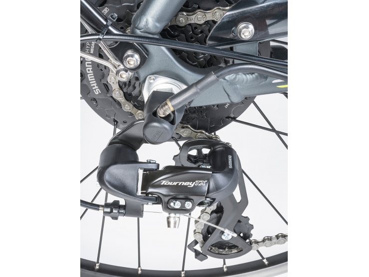 detail AUTHOR Elan 2019 18