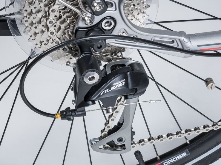 detail AUTHOR Elan 2019 18