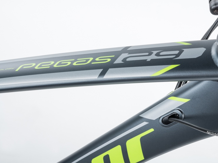 detail AUTHOR Pegas 29 2021 17