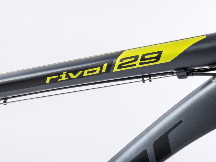 detail AUTHOR Rival 29 2021 17