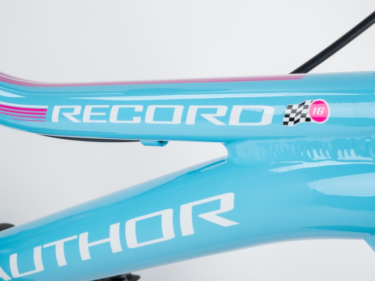 detail AUTHOR Record 16 2021 9