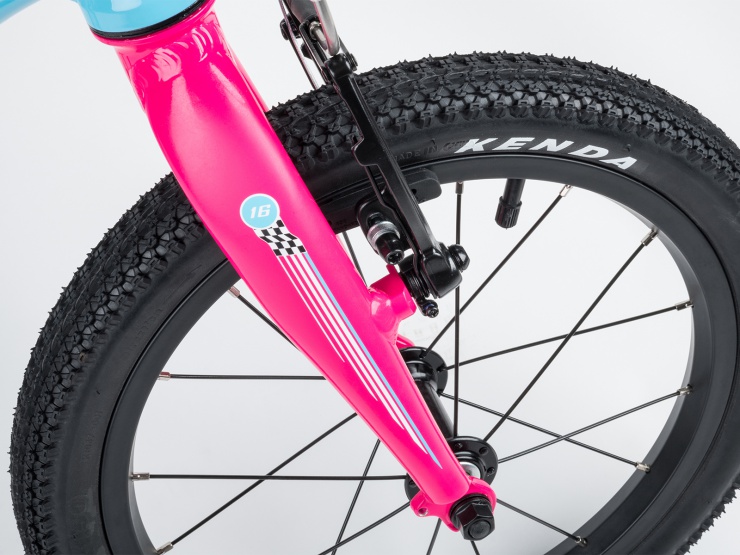 detail AUTHOR Record 16 2021 9