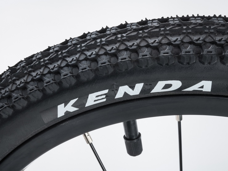 detail AUTHOR Record 16 2021 9