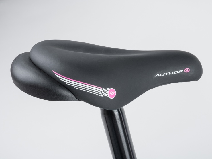 detail AUTHOR Record 16 2021 9