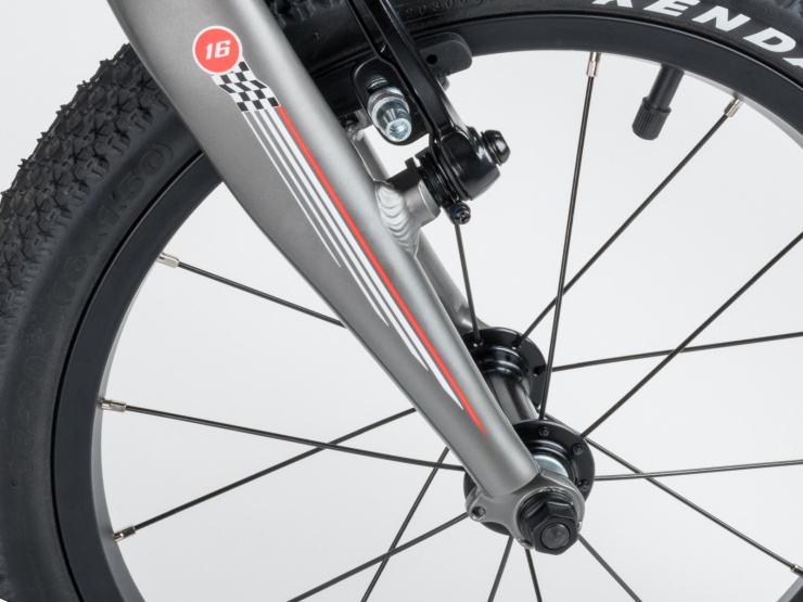 detail AUTHOR Record 16 2021 9