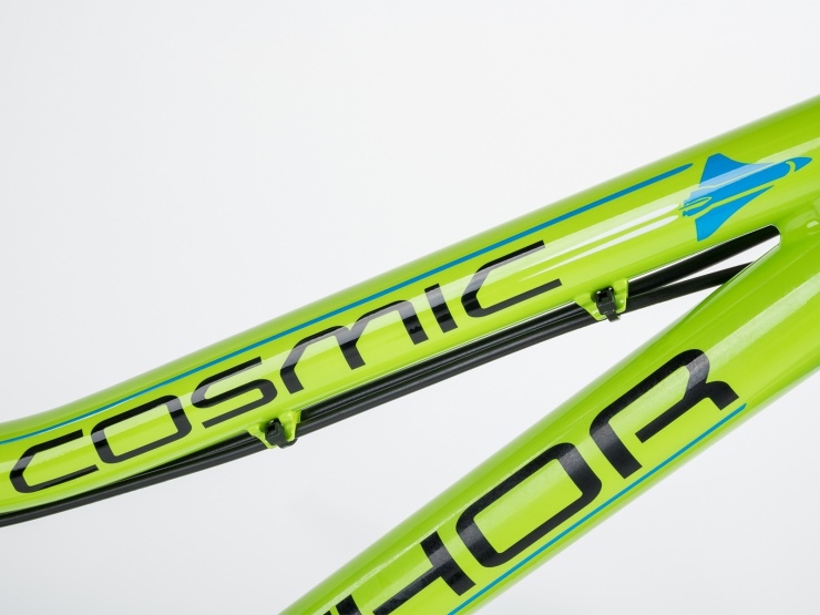 detail AUTHOR Cosmic 20 2021 10