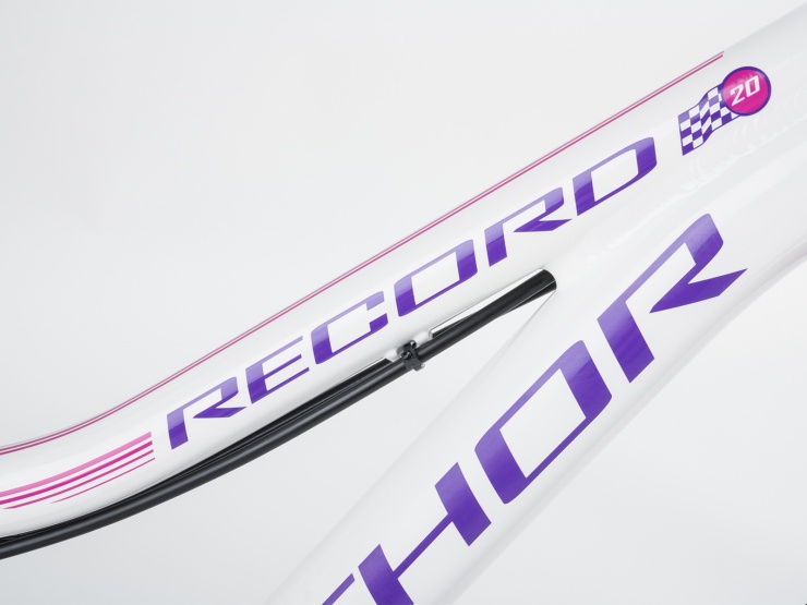 detail AUTHOR Record 20 2021 10