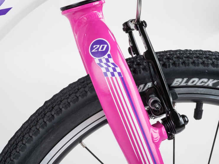 detail AUTHOR Record 20 2021 10