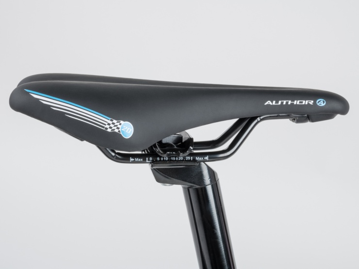 detail AUTHOR Record 20 2021 10