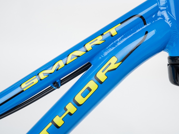 detail AUTHOR Smart 20 2021 10