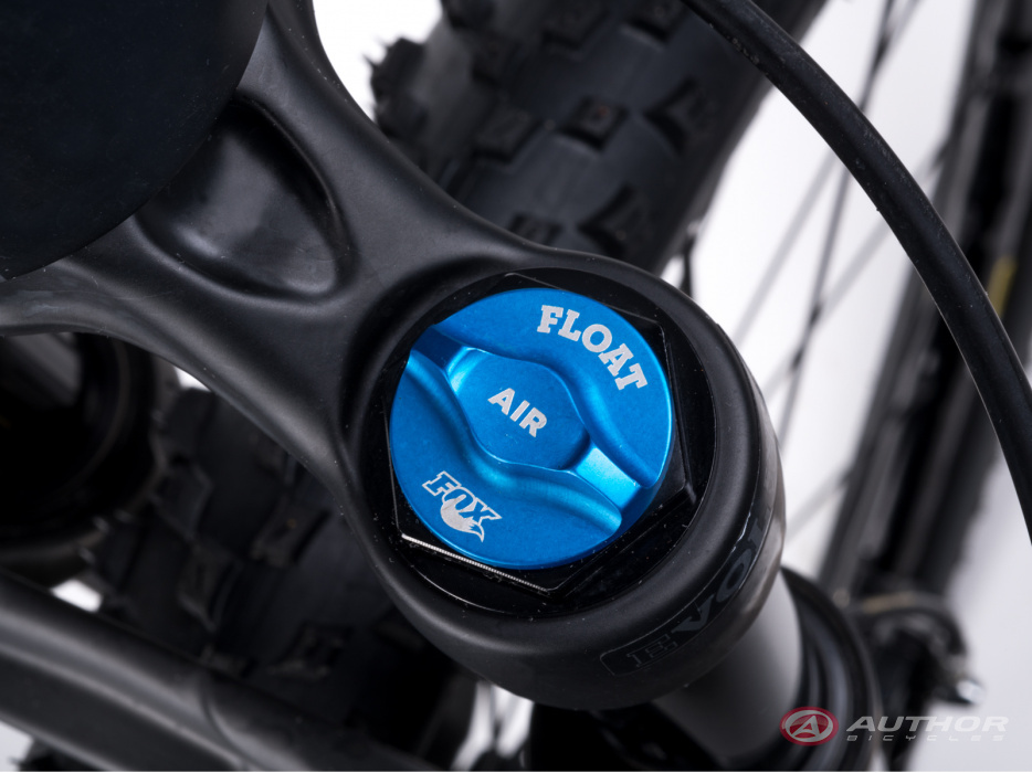 detail AUTHOR A-Ray 29 Team 2023-24