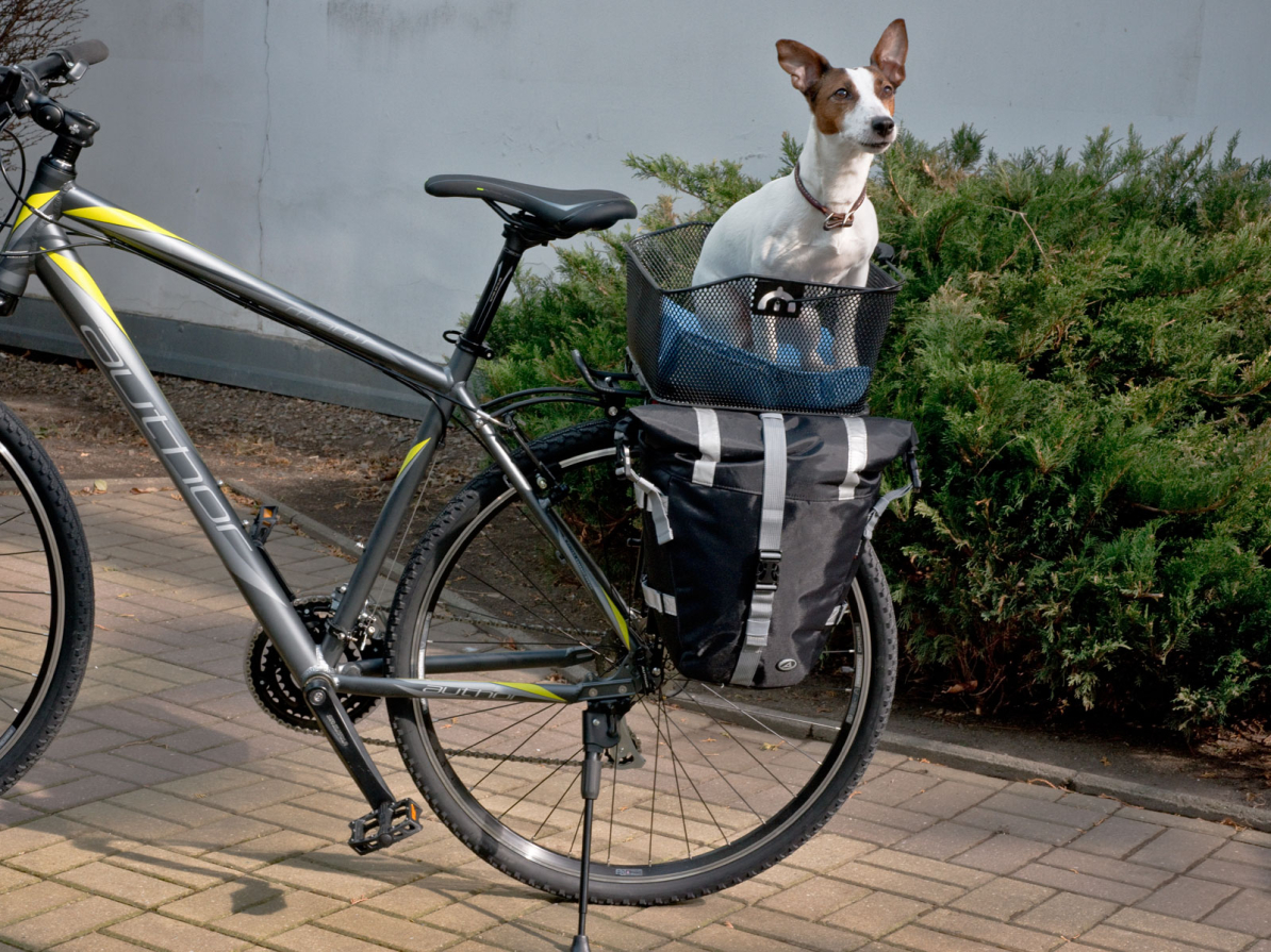 detail AUTHOR Koš AO-CarryMore