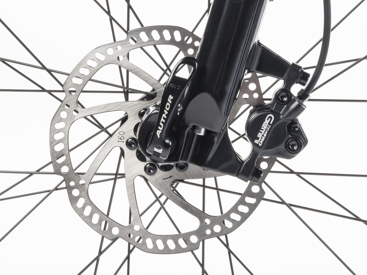 detail AUTHOR Synergy 2023-24